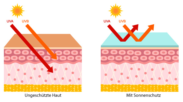 Grafik Hautschichten und Einstrahlung UV-Strahlen